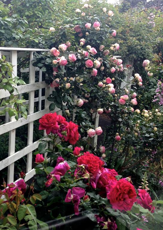 Вилла Bed Of Roses Аполло-Бей Экстерьер фото